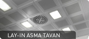 Lay-in Asma Tavan